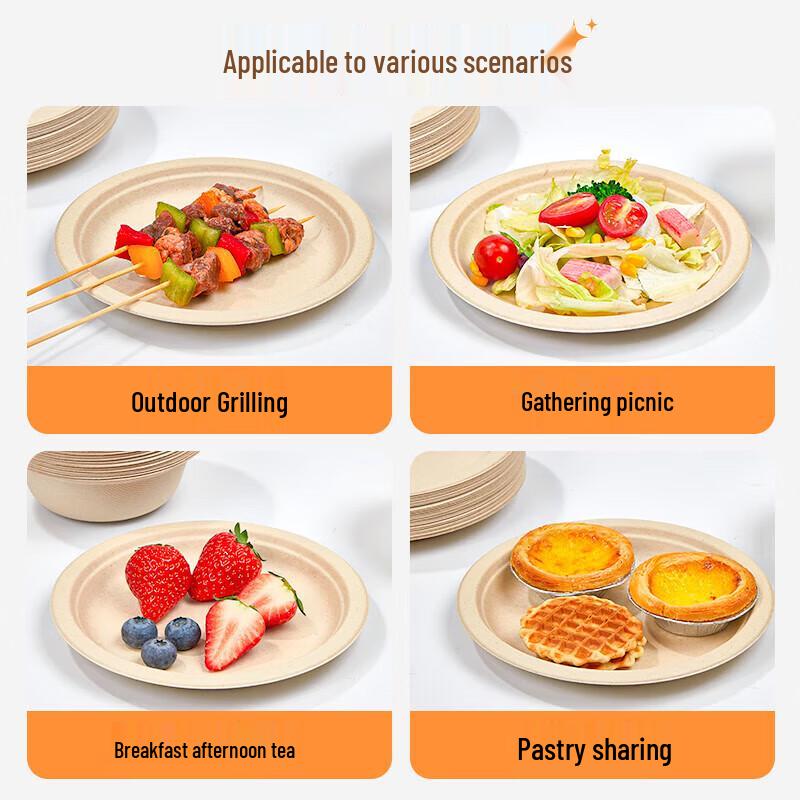 Biodegradable Round Paper Plates