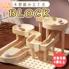 Shandini Marble Run Wooden Blocks Building Toy Puzzle (Ages 6+)