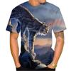 T-shirts e tops – T-Shirts