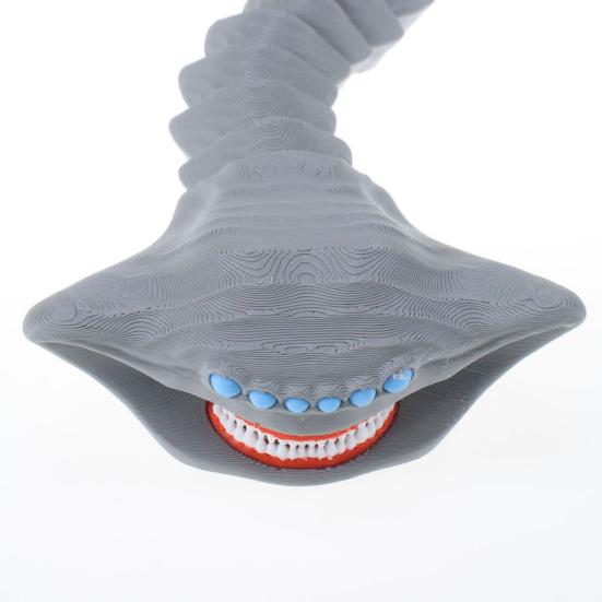 Articulated Sea Animal Fidget Toy 3D Printed Deep Sea Creature Sensory Toy for Kids And Adults Birthday Party Favors Desk Decor