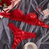 Sheer Mesh Bra & Thong Lingerie Set with Garter