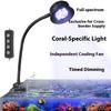 Peixes e animais aquáticos – Iluminação de aquário