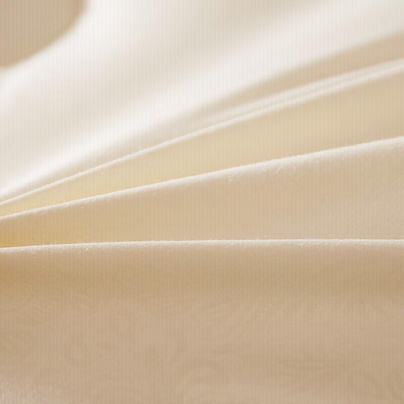 Hengyuanxiang Antibacterial All-Season Quilt