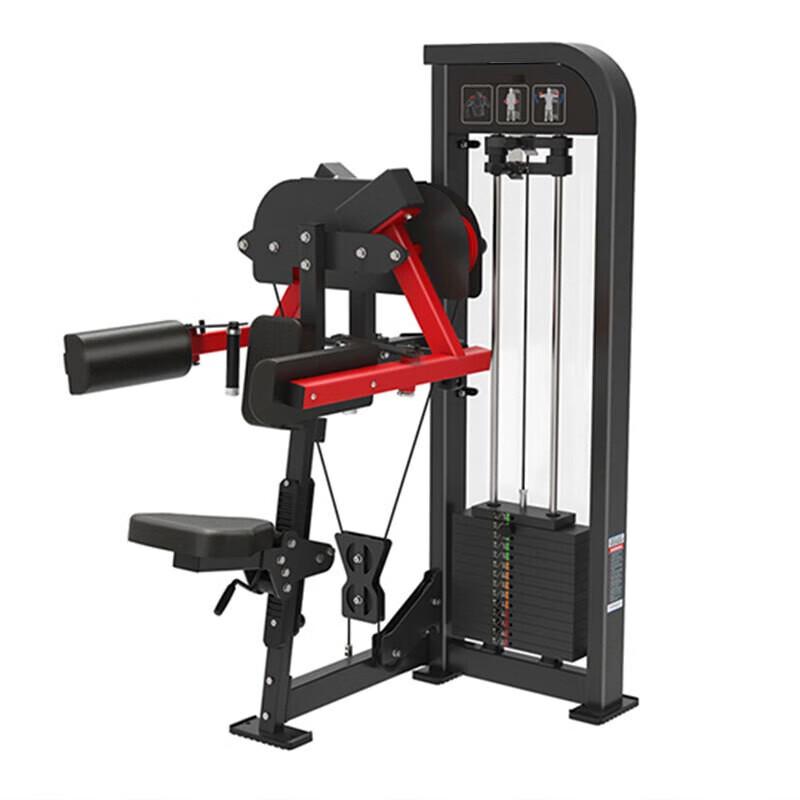 Commercial Seated Lateral Raise & Bicep Curl Trainer