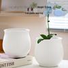 Elegant White Ceramic Flower Pot with Tray - Ideal for Ivy, Spider Plants, and Succulents
