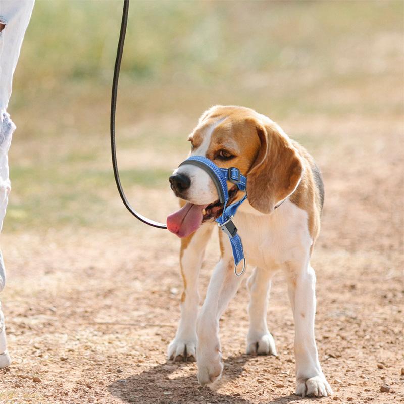 Gentle Leader Dog Head Collar No Pull Soft Padded Nylon Head Halter with Striped Pattern Stops Heavy Pulling