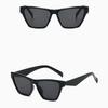 Unisex Cat Eye Sunglasses, UV Protection Fashion Shades, Vintage European Style Sun Glasses, Trendy Eyewear