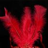 Sexy Party Wedding Sexy Performance Mask Costume Lady Halloween Feather Mask