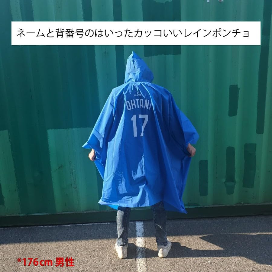 Fantasy World Dodgers