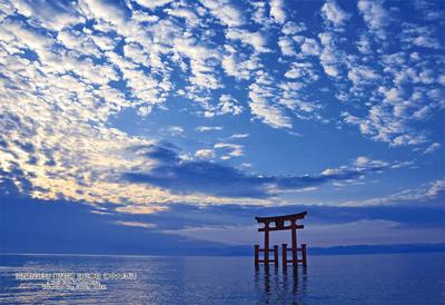 Cuties [Made In Japan] 300-Piece Jigsaw Puzzle: 82 Japanese Cities, Takashima City, Shiga Prefecture [Lake Biwa, Shirahige Shrine, Large Torii Gate