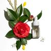 Black Rice Facial Oil 10ml