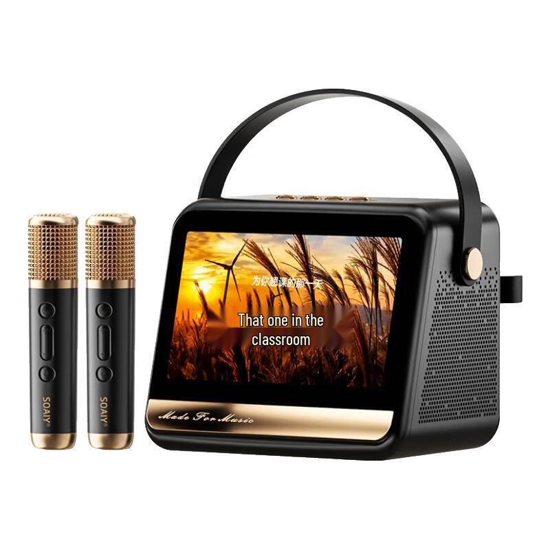 Soaiy GC520Pro KTV Karaoke Microphone Speaker