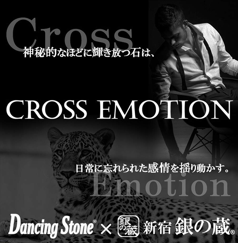 Special Edition Dancing Stone Horseshoe Silver 925 Necklace for Men [Cross Emotion]