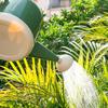 Watering Can For Indoor Plants 4L Thickened Long Spout Water Can For House Plant Garden Flower Outdoor Irrigation Tool