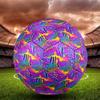 Dazzling Colors Indoor Soccer Ball Colorful Machine Stitched PVC Size 5 Team Training Competition Ready Durable High-Bounce Cool Sports Gift