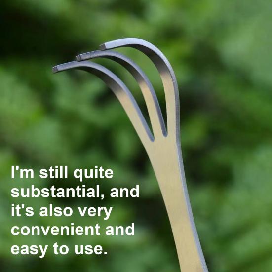 2 Pcs Bonsai Tree Root Rake 3-Prong Stainless Steel Hand Rake Home Gardening Mini Rake for Loosening Soil Potted Plants