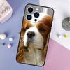 Cavalier King Charles Spaniel Hund Handyhülle Für iPhone 17 Air 17Pro Hülle Für Apple iPhone 17 Pro Max Hülle Funda
