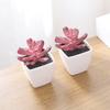 Artificial Succulents Bonsai Plants Mini Succulents Simulation Evergreen Cactus Indoor Shelf Bedroom Sill Office Home Decoration