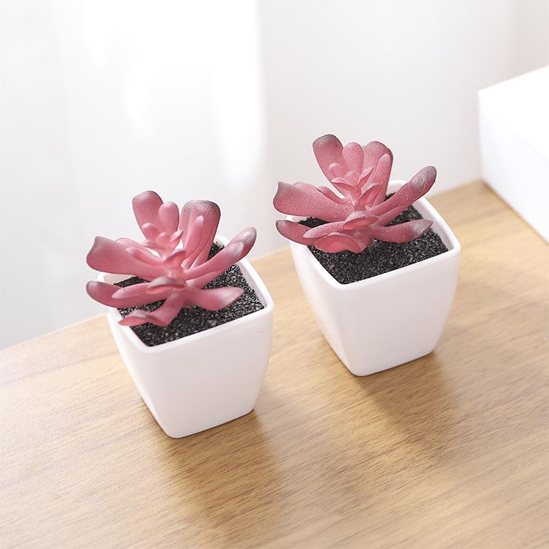 Artificial Succulents Bonsai Plants Mini Succulents Simulation Evergreen Cactus Indoor Shelf Bedroom Sill Office Home Decoration