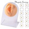 Personalized 12 Pcs Magnetic Stud Earring Ear Bone Nails Fake Cheater Non Pierced Jewelry Nose Ear Lip Stud Magnet DIY