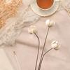 Dried Flower Arrangement in Vase, DIY Centerpiece for Bedroom and Event Decor