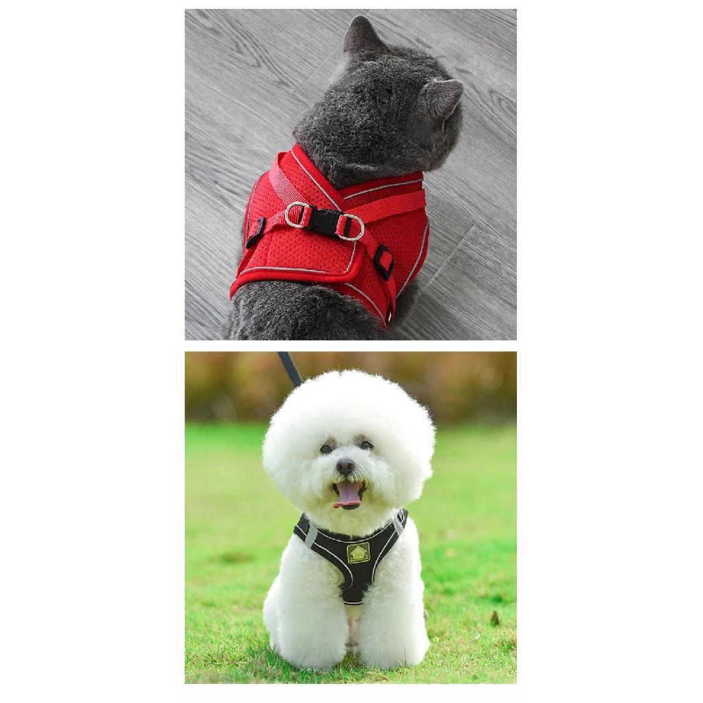 Reflective Pet Cat Harness Vest Leash Set Breathable Mesh Puppy Harnesses Adjustable Lead Leashes for Dogs Cats Supplies