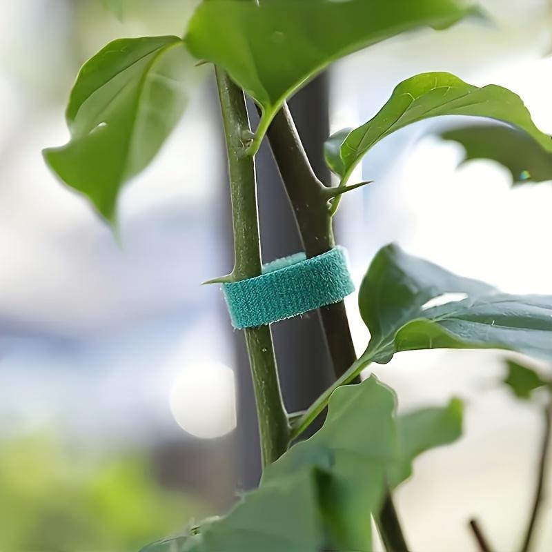 2 Rotoli Fascette da Giardino Regolabili Robuste Riutilizzabili, Supporto per Piante con Presa Forte