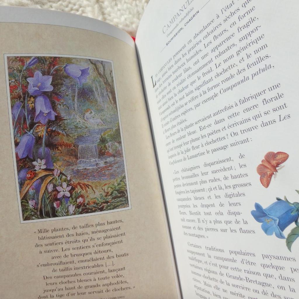 [USED] Le Langage des Fleaurs Sauvages: The language of flowers in French