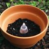 Cone Drainage Mesh Pads 10pcs- Breathable Root Protectors, Prevent Soil Leaks, Reusable for Succulent Pots