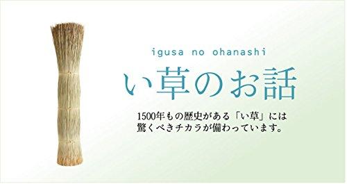 IKEHIKO Igusa Rug, Made in Japan, Triple-Weave, DX Gradient Green, Approx. 140 x 200 cm, with Backing #1709700