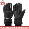 Longxia Winter Ski & Cycling Gloves