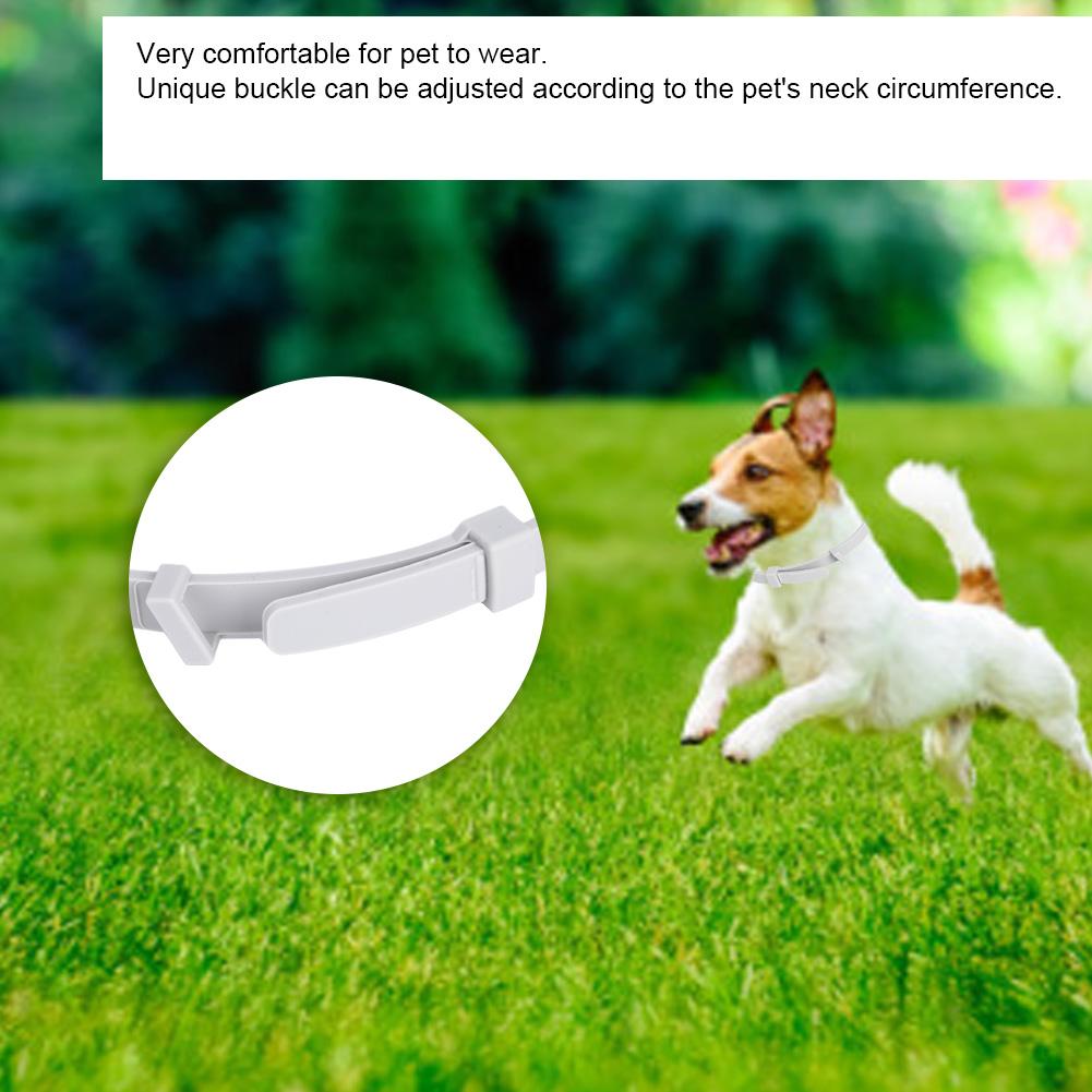 Adjustable Dog Cat Collar Summer Mosquito Flea Repellent Necklace Outdoor Pet Supplies