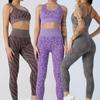European-American Style Seamless High-Waisted Fitness Set: Women's Sports Vest & Tight Leggings Yoga Suit
