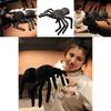 Black Spider Plush Toy Soft And Cuddly Ideal For Pranks And Sofa Cushions