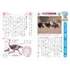 Showa Notebook Japonica Communication 10 Notebook, Lines, B5, 5-Pack JL-685