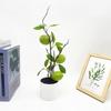 Green Lemon Plant Decor With Faux Fruits For Home Styling And Props Photography