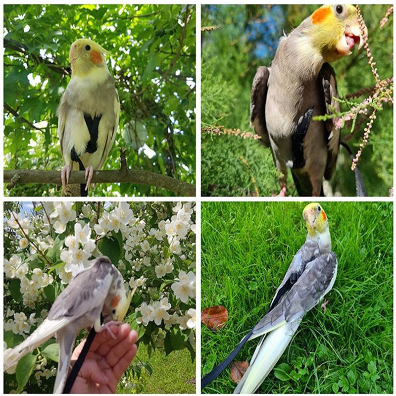 1Pcs Training Flying Traction Rope Anti-Bite Training Rope Bird Leash Parrot Flying Rope Parrot Harness Bird Harness Leash