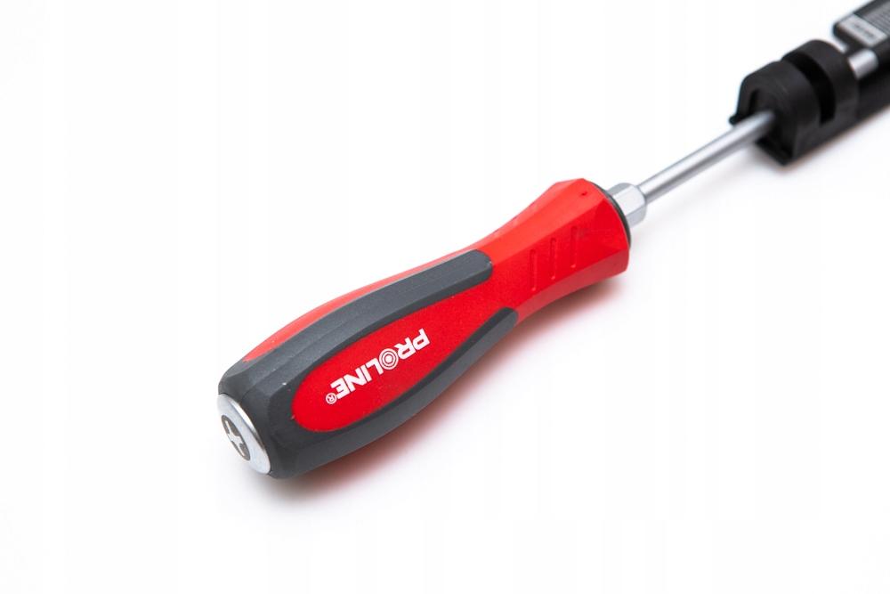 Proline Phillips Screwdriver Ph2 X 100 1 Pc