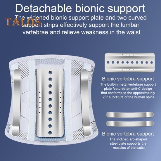 Back Support Brace for Men And Women Breathable Lumbar Belt Adjustable Mesh Support Strap for Lower Back Pain Sciatica Scoliosis Herniated Disc