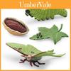 Realistic Pvc 4 Piece Luna Moth Growth Cycle Model Detailed Display Figurine Set
