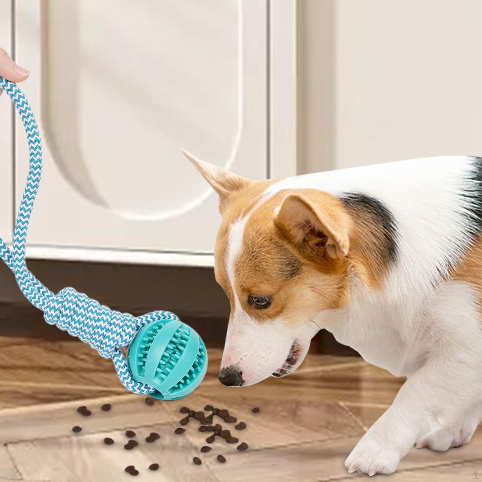 

Игрушка для собак с мячом и веревкой Chew Tough для дрессировки, перетягивания каната 5cm ball