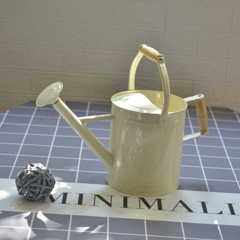 Large-Capacity Dual-Use Iron Watering Can: Ideal for Home Flower Care, Vegetable Planting, and Gardening Spraying.