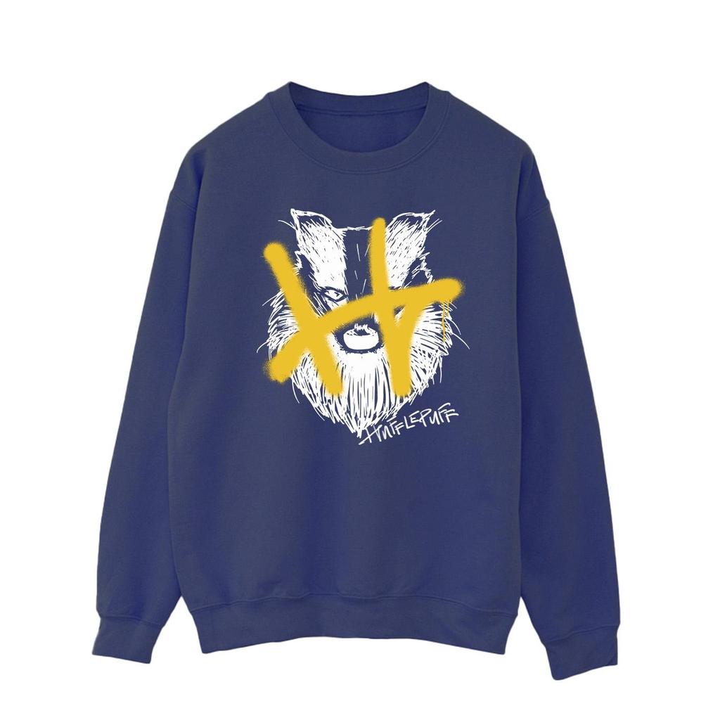HARRY POTTER Mens Hufflepuff Pop Spray Sweatshirt