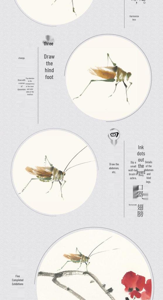 Children's Chinese Painting: Basics In Fish, Insects, Flowers, and Birds