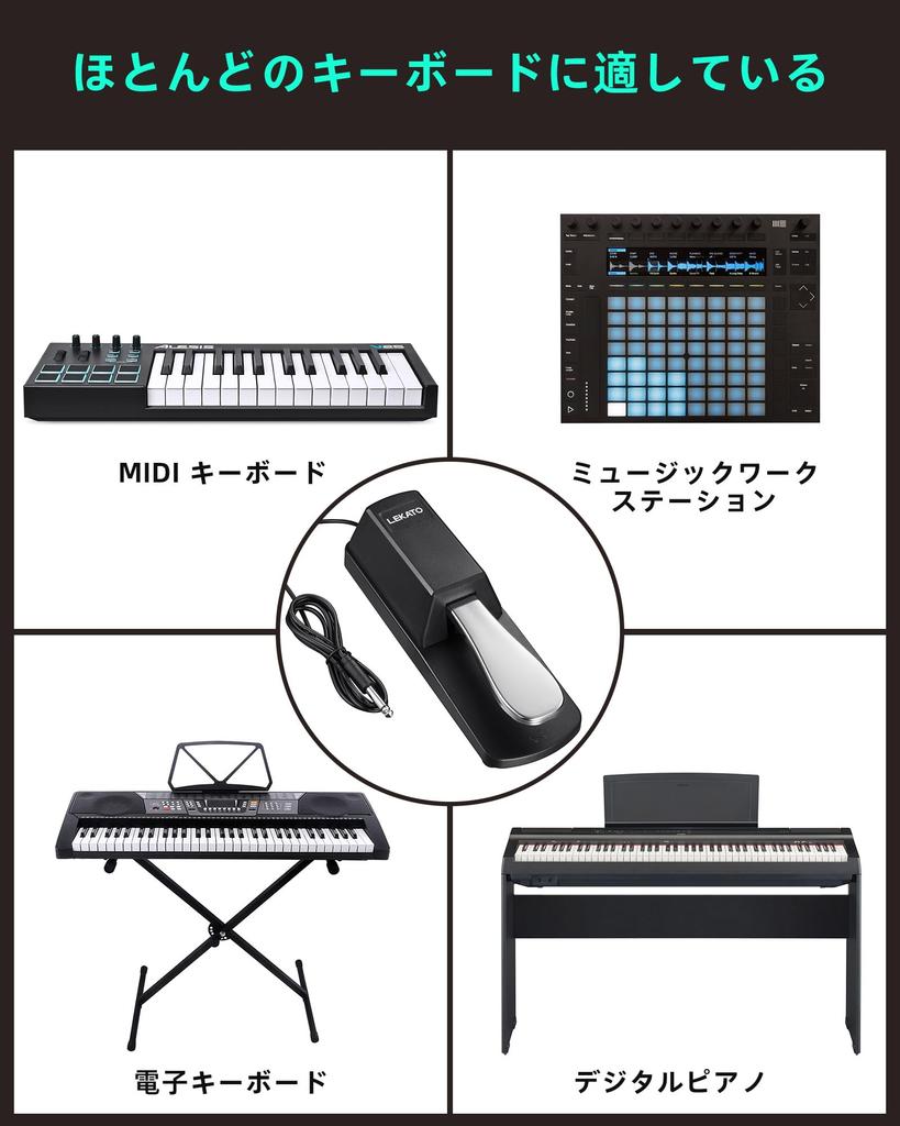 Sustain Pedal Foot Pedal Switch for Keyboards, MIDI, Digital Pianos, Universal Piano Pedal with Polarity Switch, 1/4" 6.35mm Input Plug, Black