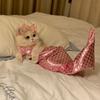Dog Costume Pet Mermaid Bra Tail Bikini Clothing Bowknot Dressing Up Swimwear