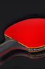 Table Tennis Racket Set Short with Storage and Lightweight Wooden Ping Pong Bag (2 Rackets) Bag, Balls, [Used]