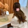 9 PCS Large Hair Accessories - Cute Flower-Shaped Claw Clips for Women and Girls in 9 Morandi Colors