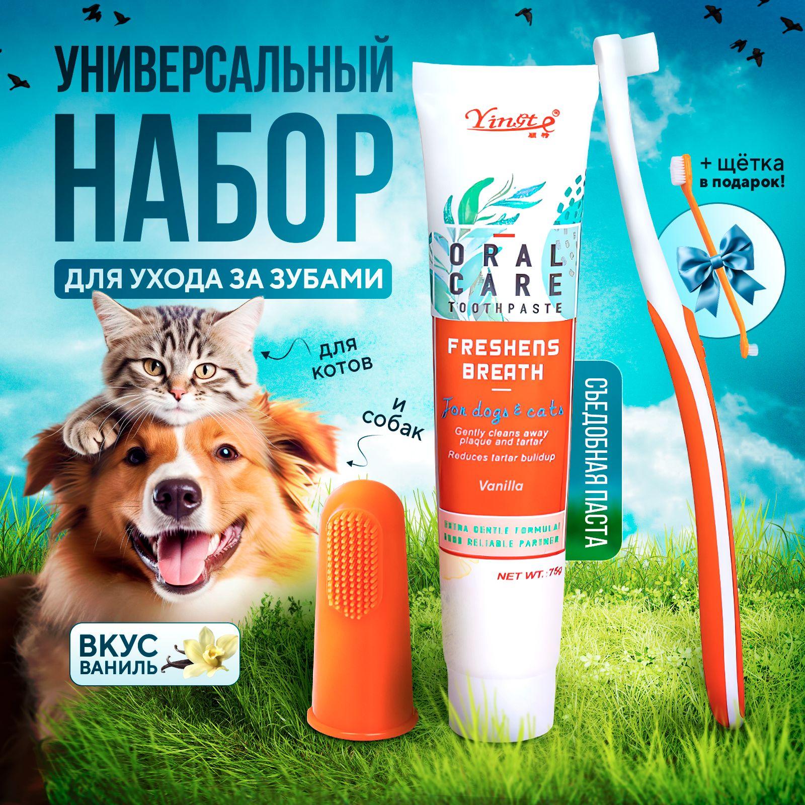 

Одноразовый набор зубной щетки и зубной пасты для домашних собак One Size
