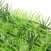 Künstliches Wasser, aquatische grüne Graspflanze, Rasen, Aquarium, Landschaft